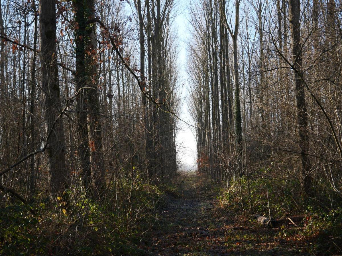 La Cabane Du Chasseur Flines-Les-Mortagne Bagian luar foto