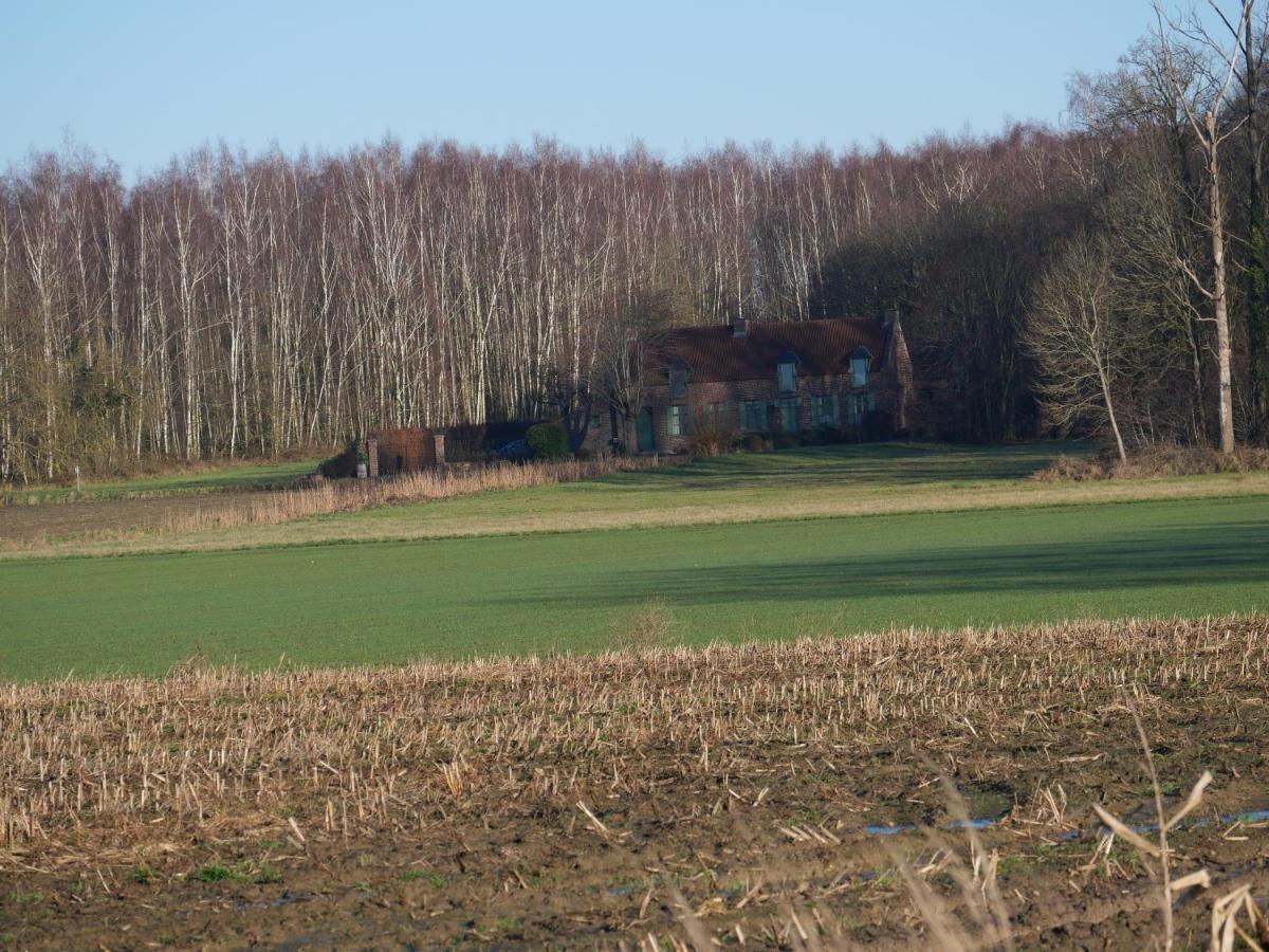 La Cabane Du Chasseur Flines-Les-Mortagne Bagian luar foto