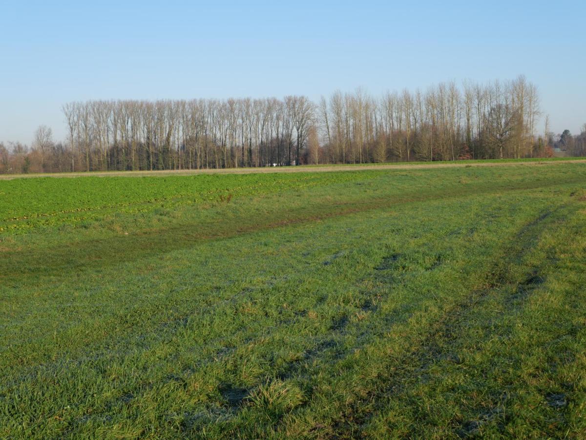 La Cabane Du Chasseur Flines-Les-Mortagne Bagian luar foto