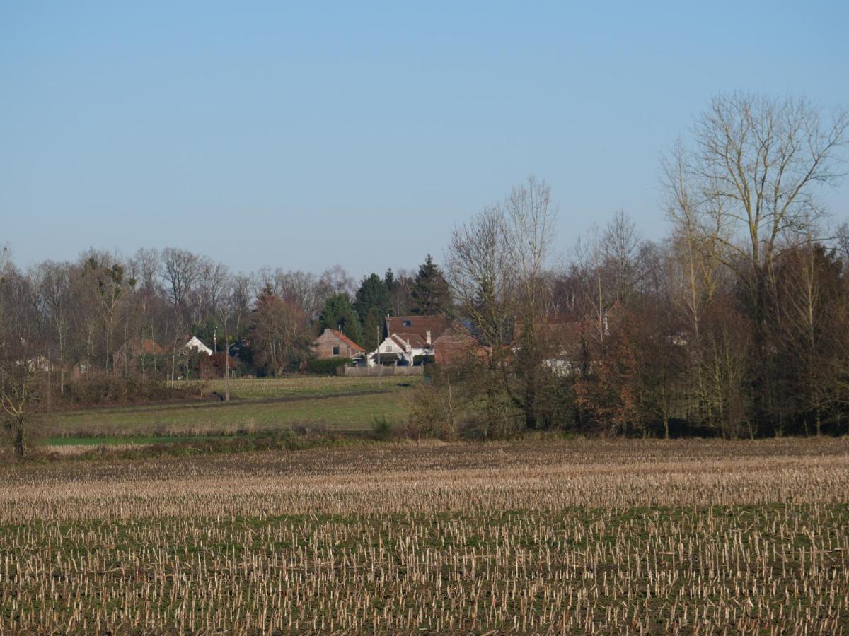 La Cabane Du Chasseur Flines-Les-Mortagne Bagian luar foto